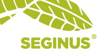 Seginus